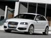 Audi S3 8P Фото Audi S3 8P