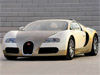 Bugatti Veyron Фото Bugatti Veyron