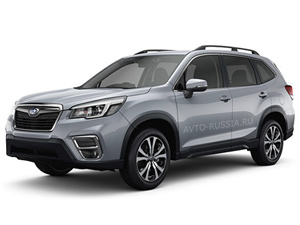 Subaru Forester Фото Subaru Forester